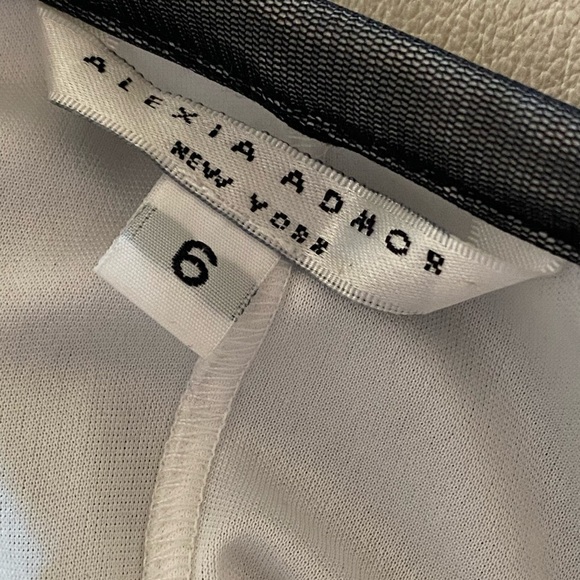 ALEXIA ADMOR New York Dotted Organza Tulle Chiffon Maxi Skirt Gothic Size 6 - Picture 2 of 11